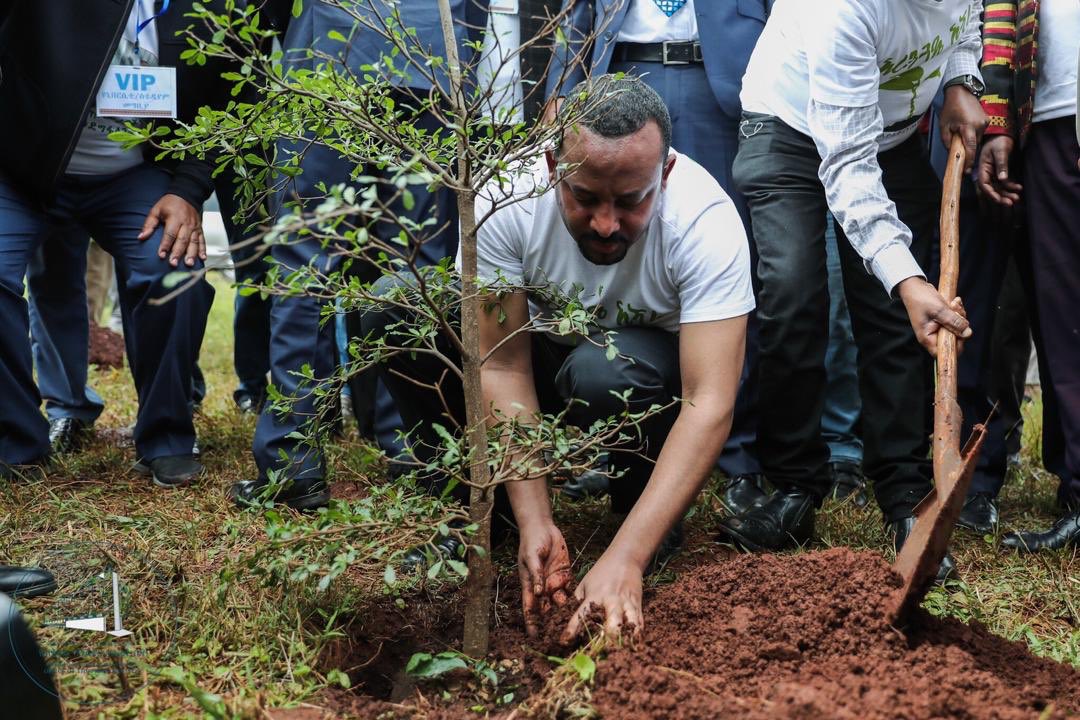 Ethiopia PM plants trees