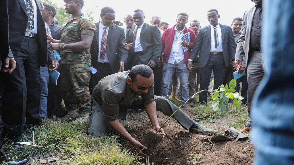 Abiy Ahmed planting trees