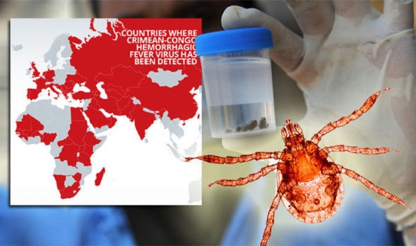 Crimean-Congo Haemorrhagic Fever