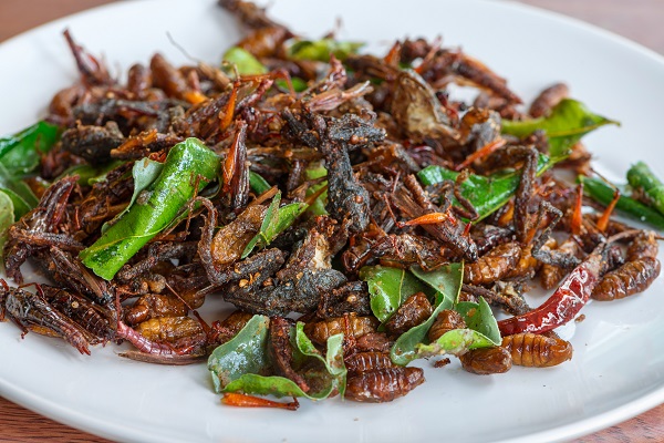 Termites meal in Kenya