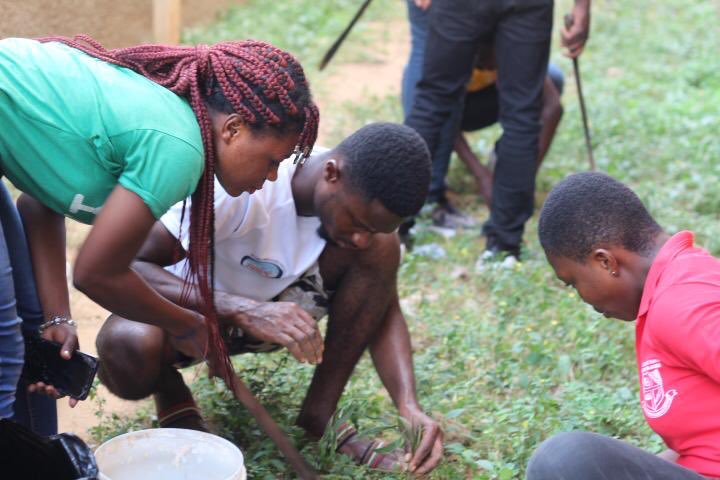 Tree planting in Ghana