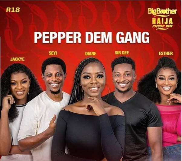 BB Naija 2019