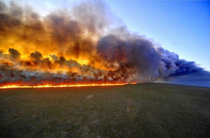 The Amazon rainforest fires