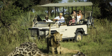 Safari in Africa