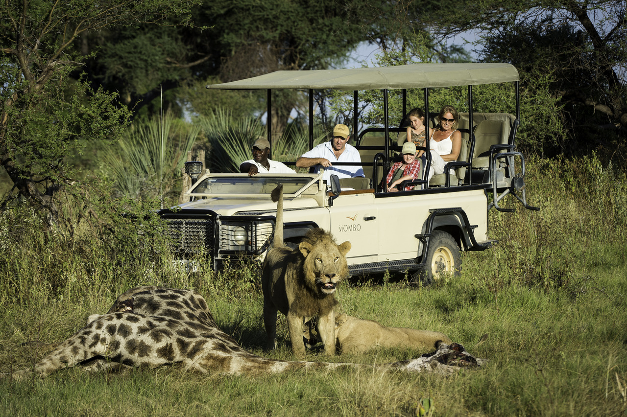 Safari in Africa