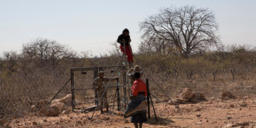 South Africa / Zimbabwe Border