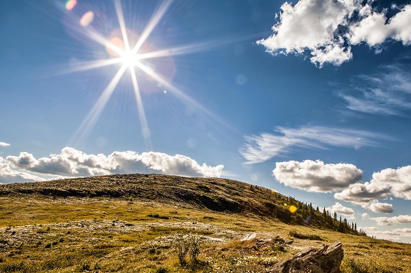 sunlight destroys coronavirus