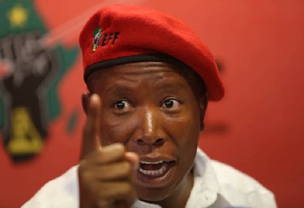 Julius Malema